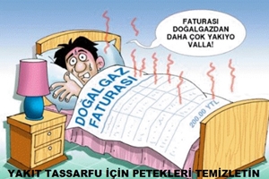 Malatya Petek Temizliği